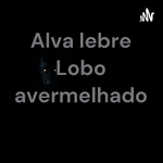 Alva lebre Lobo avermelhado