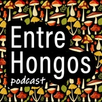 Entre Hongos