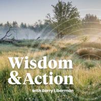 The Wisdom & Action Podcast