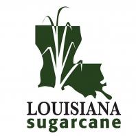 Louisiana Sugarcane News 