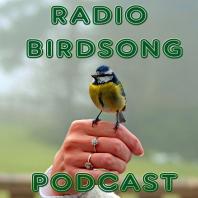 The Radio Birdsong Podcast