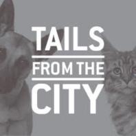 TAILS from the CITY