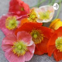 The Kokoro Garden Podcast