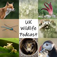 UK Wildlife Podcast