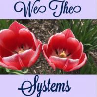We The Systems
