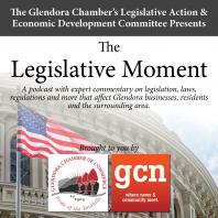 The Legislative Moment