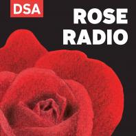 DSA Rose Radio