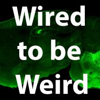 Wired to be Weird