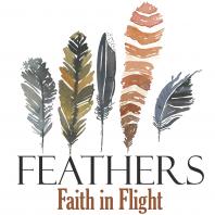 Feathers : Faith in Flight