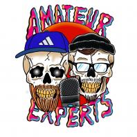 Amateur Experts