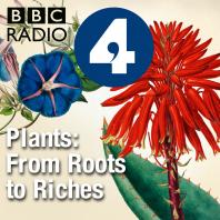 Plants: From Roots to Riches