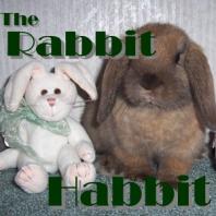 The Rabbit Habbit