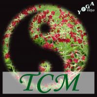 TCM - Traditionelle Chinesische Medizin