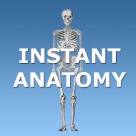 Instant Anatomy