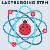 Ladybugging STEM