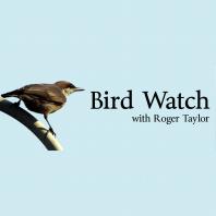 Bird Watch with Roger Taylor