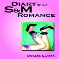 Diary of an S and M Romance