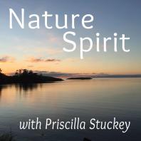 Nature :: Spirit — Kinship in a living world