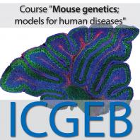 Mouse Genetics 2019; Models for Human Diseases