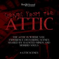 Scenes From The Attic