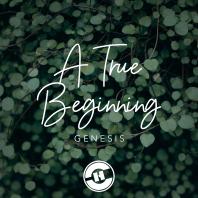 A True Beginning: The Book Of Genesis