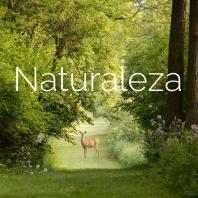 Naturaleza 