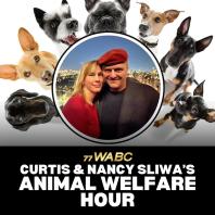 Curtis & Nancy Sliwa's Animal Welfare Hour