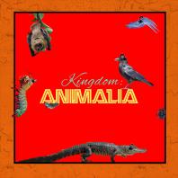 Kingdom: Animalia - A Zoology Podcast for Kids