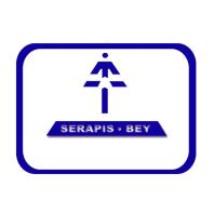 2020 Serapis Bey - Maestros de la Energía y Vibración