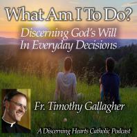 What am I to do? - Discerning the Will of God in Everyday Decisions with Fr. Timothy Gallagher - Discerning Hearts Catholic Podcasts