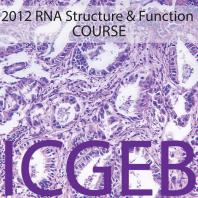 2012 Rna Structure and Function
