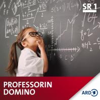 Professorin Domino
