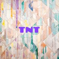 TNT: Teach 'N Talk