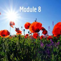 Module 8: Environmental Horticulture PRU 