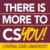 There is More to CSYou