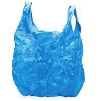 Why plastic bags should be banned