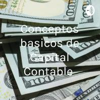 Conceptos basicos de Capital Contable 