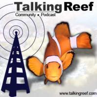 Talkingreef