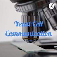 Yeast Cell Communication