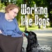 Working Like Dogs - Service Dogs and Working Dogs  - Pet Life Radio Original