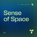 Sense of Space