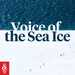 Wild Sounds: Voice of the Sea Ice