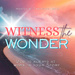 Witness the Wonder: True Stories of Faith, Miracles and the Supernatural that Point to God in Life