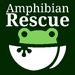 Amphibian Rescue