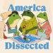 America Dissected