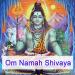 Om Namah Shivaya - Mantra Chanting and Kirtan