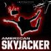 American Skyjacker: The Final Flight of Martin McNally