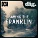 Dig — Saving The Franklin