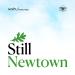 Still Newtown