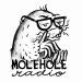 MoleHole Radio
